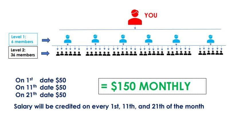 XsignalGlobal Unveils a New Plan in 2025 – Get Ready