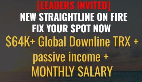 XsignalGlobal Unveils a New Plan in 2025 – Get Ready