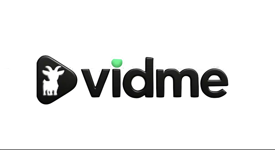https://earnwithvik.com/vidme/